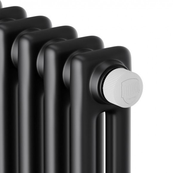 Дизайн-радиатор Insignia VC2180 - 04, нижнее подключение RAL9005m Royal Thermo Дизайн-радиатор Insignia VC2180 - 04, нижнее подключение RAL9005m Royal Thermo