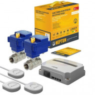 Система контроля протечки воды 3/4" Neptun Bugatti Base